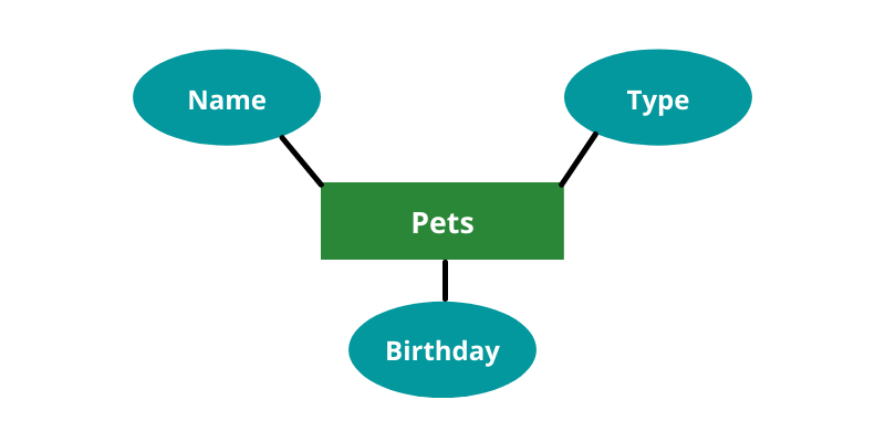 Diagram showing pets in the middle with name, type, and birthday connecting to it.
