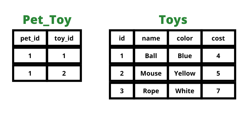 Pet toy table with two rows filled in. Both with matching values in the pet id column.