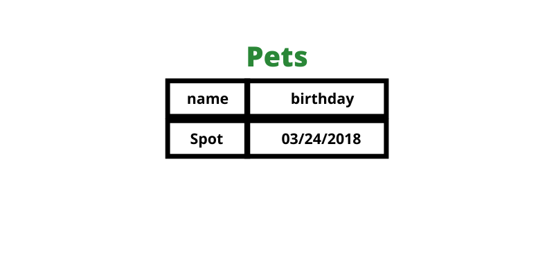 Name and birthday for dogs named Spot.