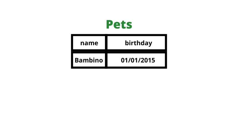 Name and birthday for only cat pets.